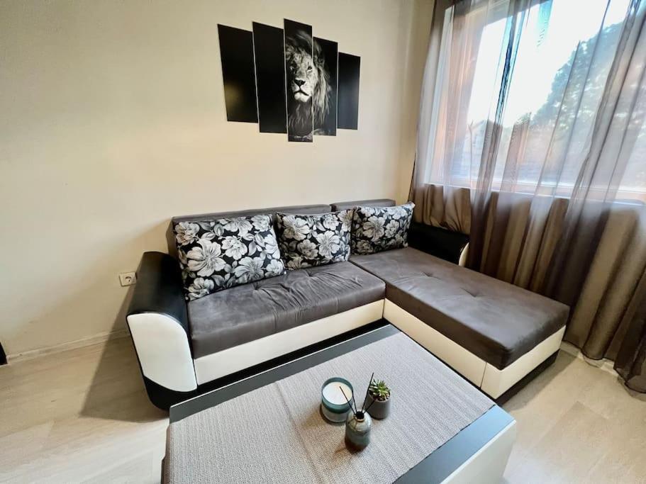 Sof Apartment'S Szófia Kültér fotó