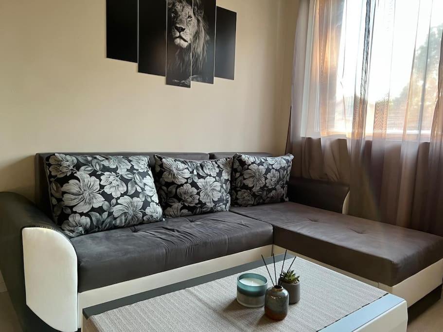 Sof Apartment'S Szófia Kültér fotó